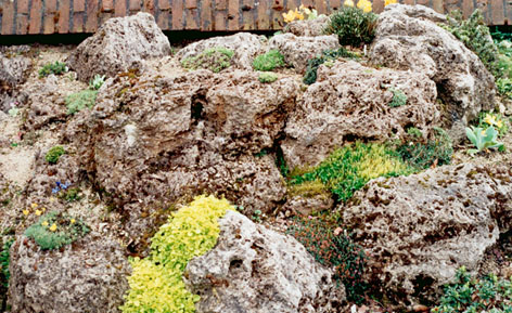 Tufa garden